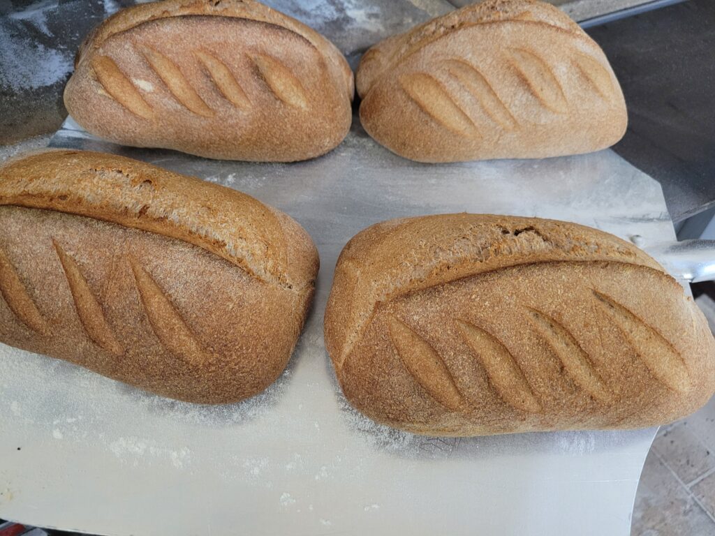 Cinnamon Raisin Whole Wheat Sourdough