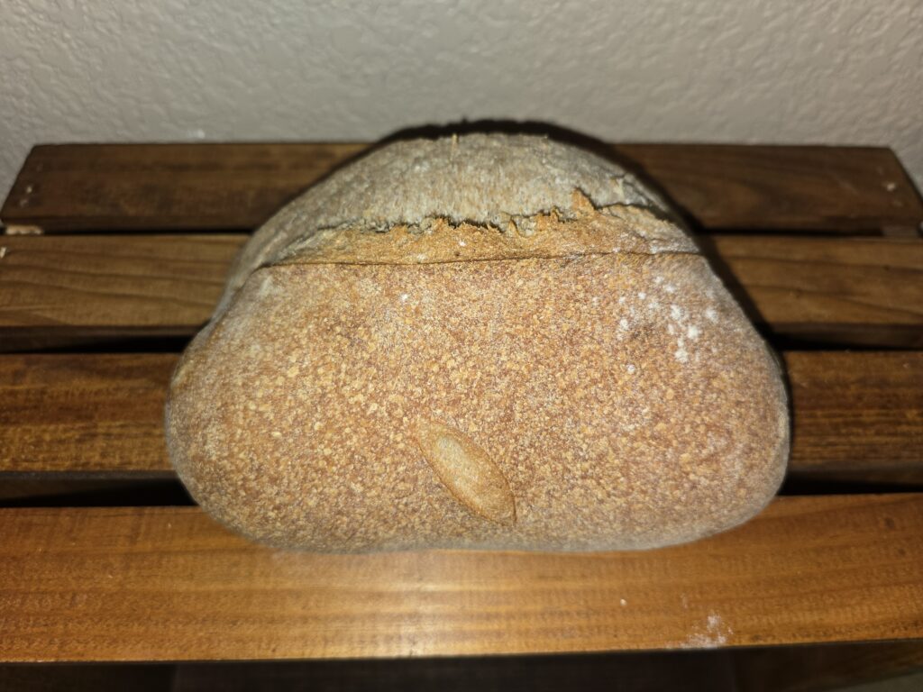 Midway Sourdough